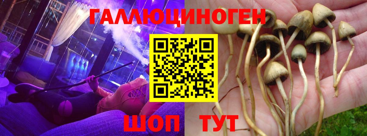 Джанкой  Галлюциногенные грибы Psilocybe  Вход с VPN  Галлюциногенные грибы мухоморы 